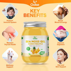 OALSE Sea Moss Gel mango pineapple pour shot demonstrates convenient, shelf-stable storage.