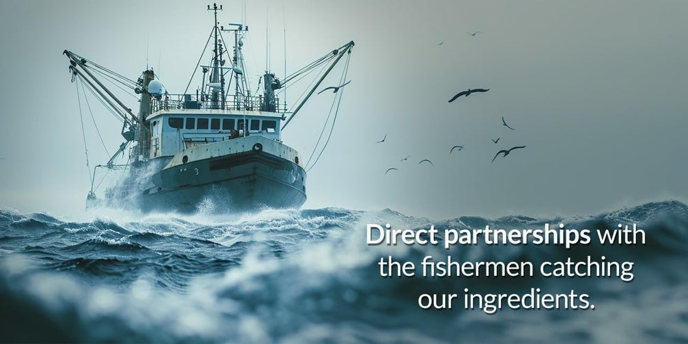 Oceanutra Krill Oil no fishy aftertaste during digestion and use.