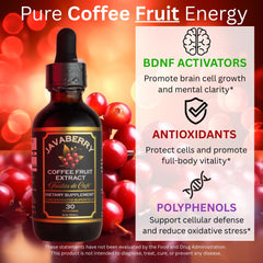 OhmYes Javaberry drops 2 ml dosage shown for simple daily intake and consistent support.
