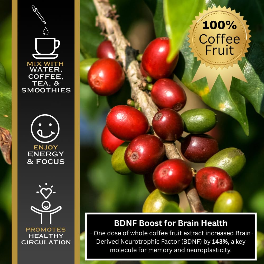 OhmYes Javaberry ingredients highlighting polyphenols and chlorogenic acids.