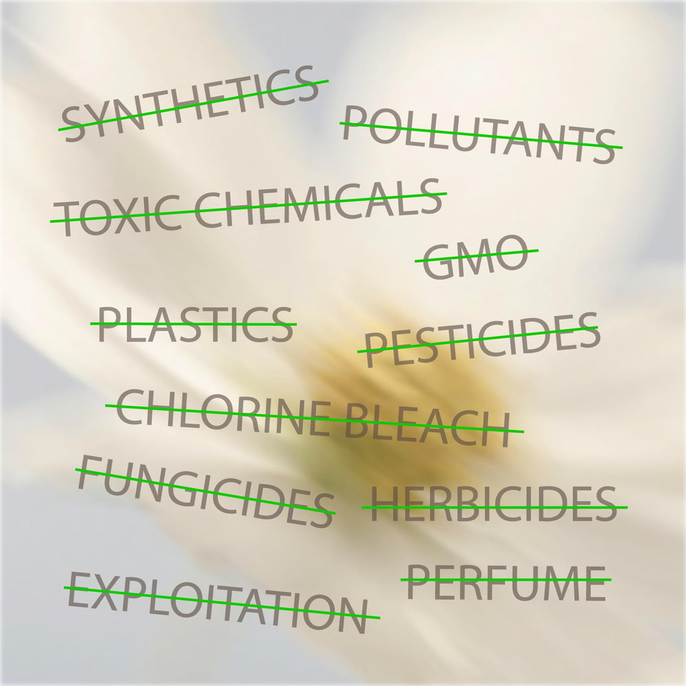 Oi tampons use skin-friendly organic cotton free from perfumes and dyes