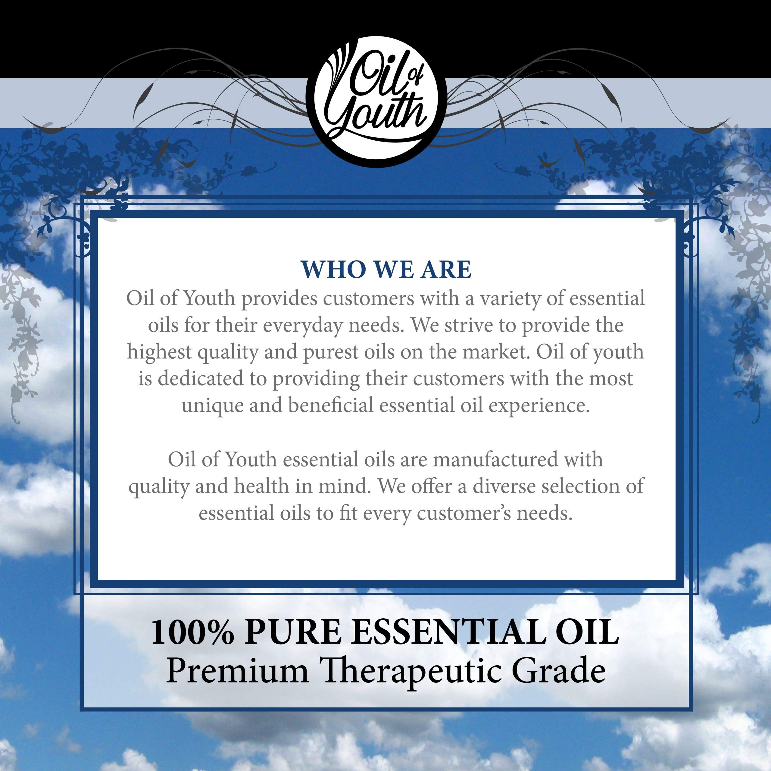 Oil of Youth Pine Essential Oil winter aroma scene creating a cozy atmosphere.
