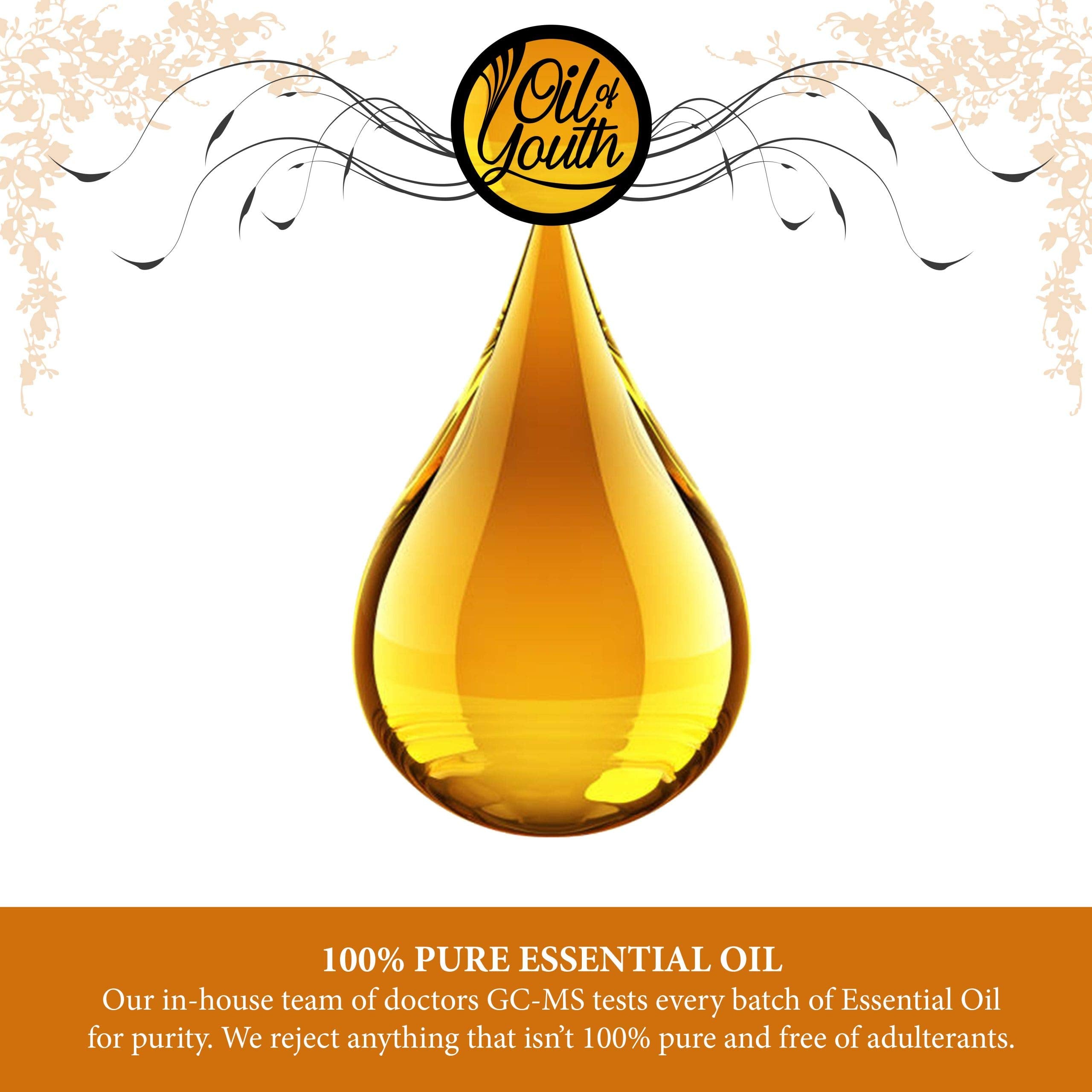 Oil of Youth Pine Essential Oil with cinnamon-vanilla pairing for seasonal blends.