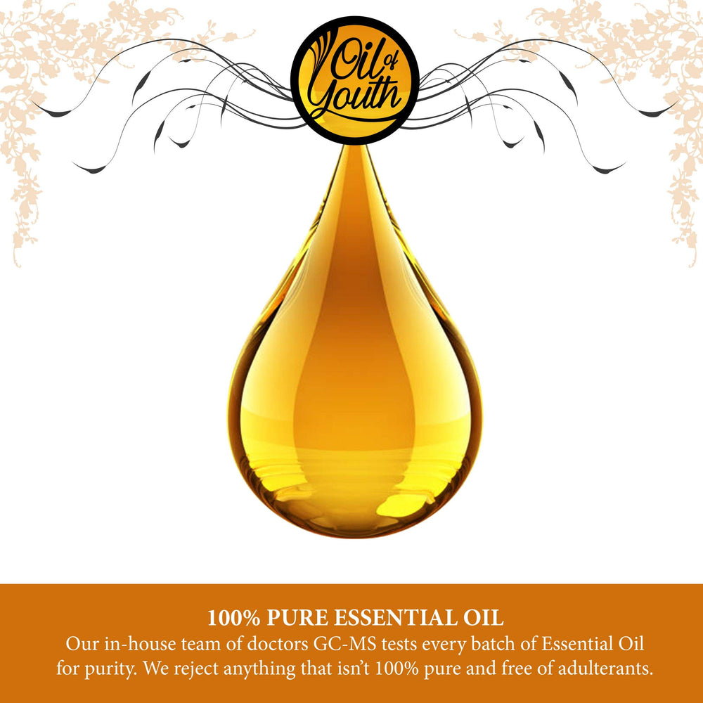 Oil of Youth Pine Essential Oil with cinnamon-vanilla pairing for seasonal blends.