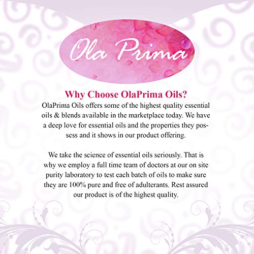 Holiday blend idea with Ola Prima Vanilla for festive spaces.