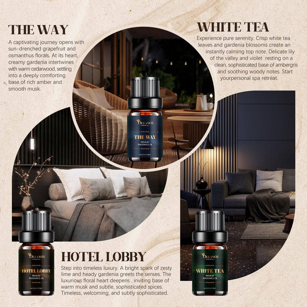 OleaVox Hotel Lobby captures sophisticated notes for living rooms and guest spaces.
