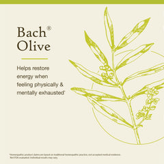 Olive Flower Remedy bottle with drops ready for daily use