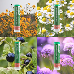 OLLOÏS organic medicinal herbs image promotes clean ingredients for daily wellness routines