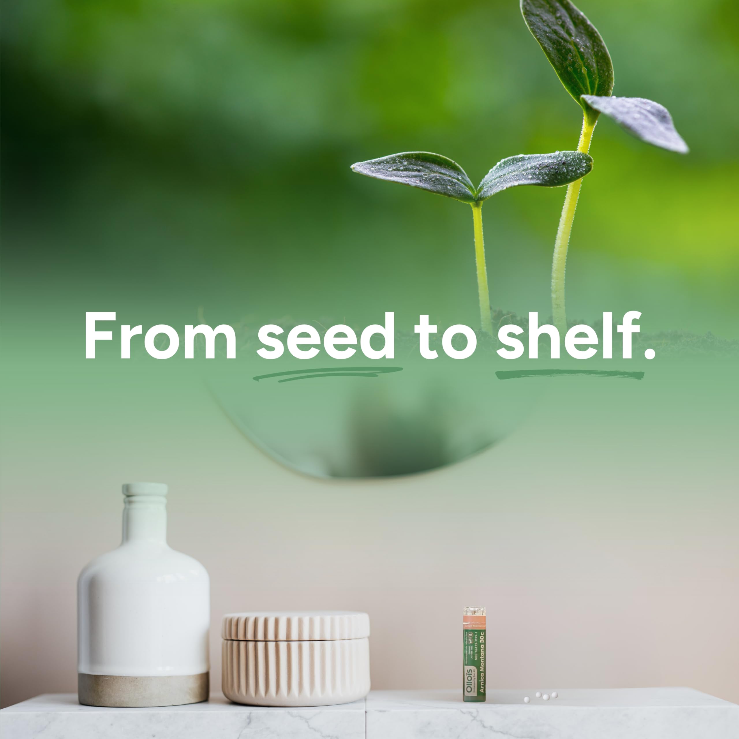 Seed-to-shelf process imagery on OLLOÏS packaging showing plant-based sourcing.