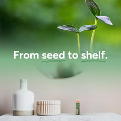 Seed-to-shelf process imagery on OLLOÏS packaging showing plant-based sourcing.