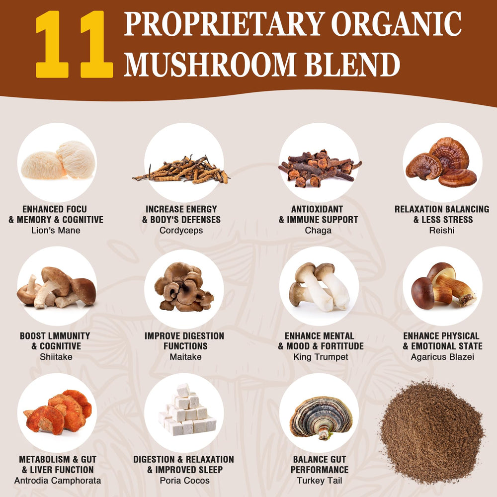 OLOBIO mushroom coffee powder dissolves easily into drinks for mornings.