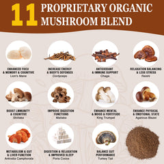 OLOBIO mushroom coffee powder dissolves easily into drinks for mornings.