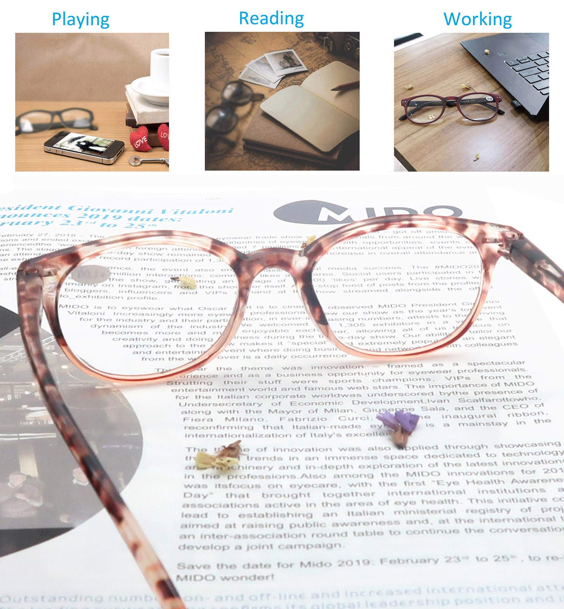 OLOMEE soft case trio protects lenses and keeps readers organized.