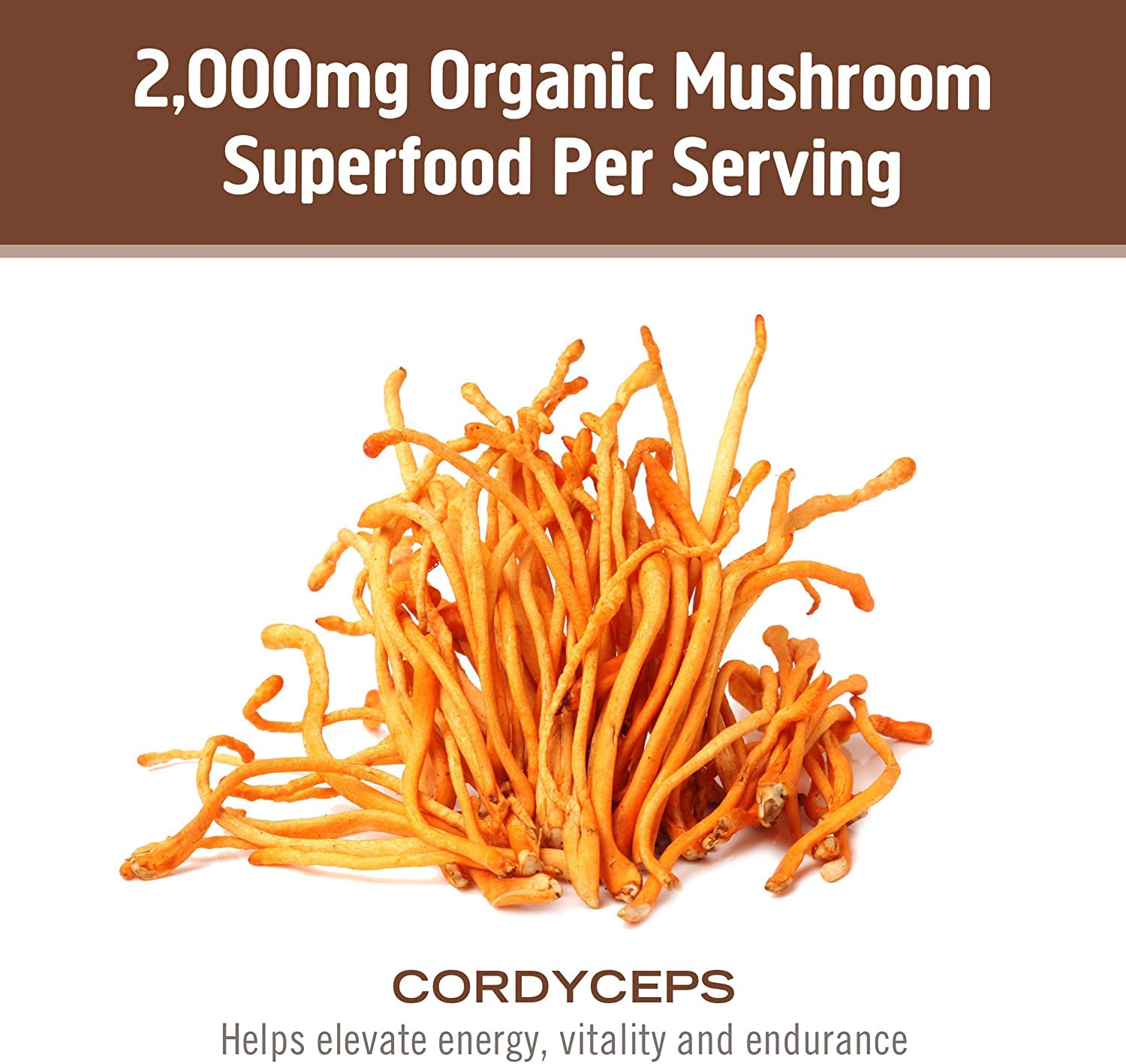 OM MUSHROOM beta glucans and nutrients illustration for immune and energy support.