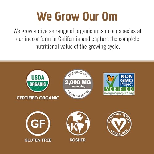 OM Mushroom Superfood Chaga powder shot conveys natural resilience and flavor.