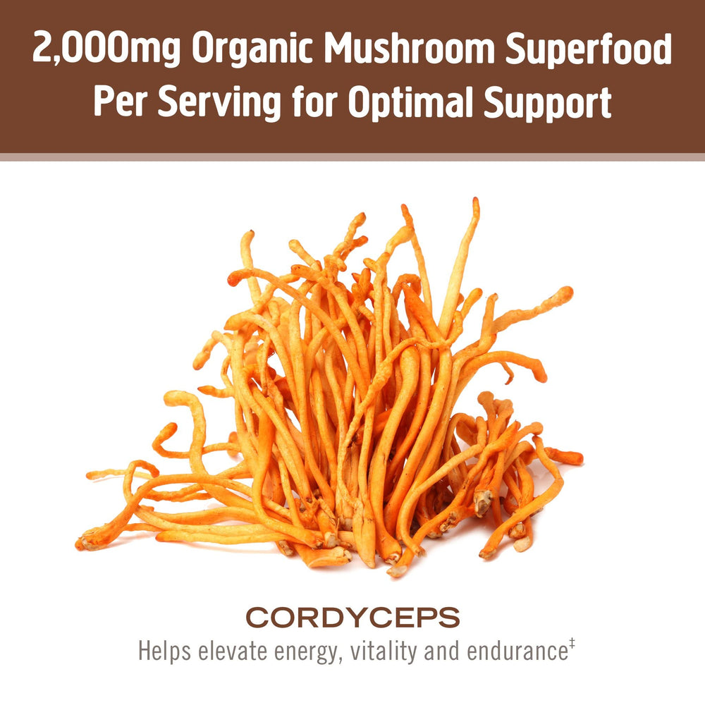 OM Mushroom Cordyceps powder bottle label emphasizing organic, non-GMO quality