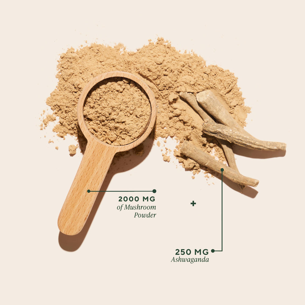 OM Mushroom Master Blend scoop with powder suggests easy daily dosing for convenient nutrition.