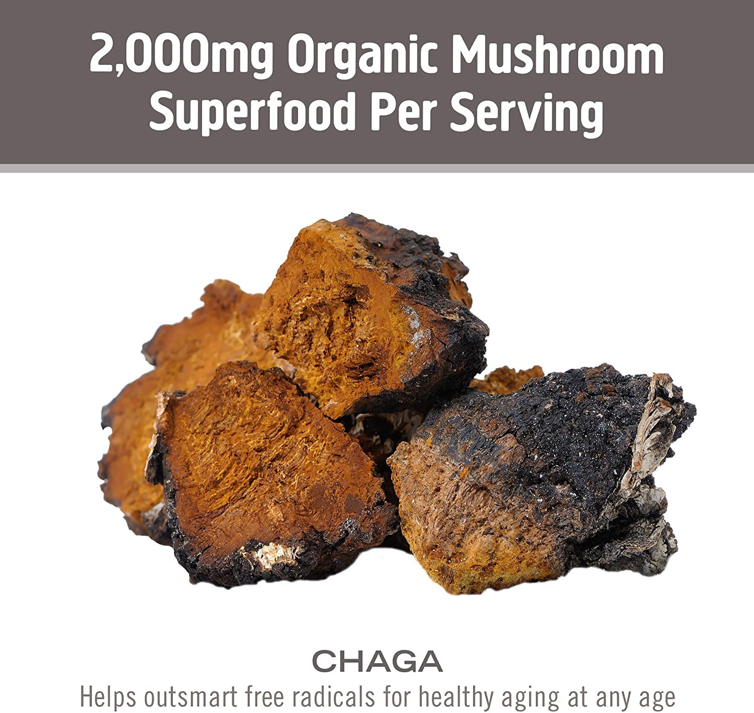 OM Mushroom Superfood organic biomass closeup showing mycelial and fruiting body