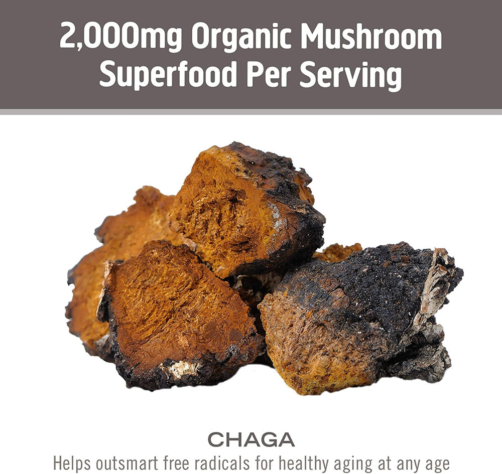 OM Mushroom Superfood organic biomass closeup showing mycelial and fruiting body
