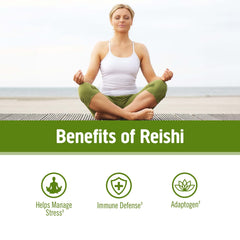 OM Mushroom Reishi organic powder pouch supports versatile use in drinks and recipes
