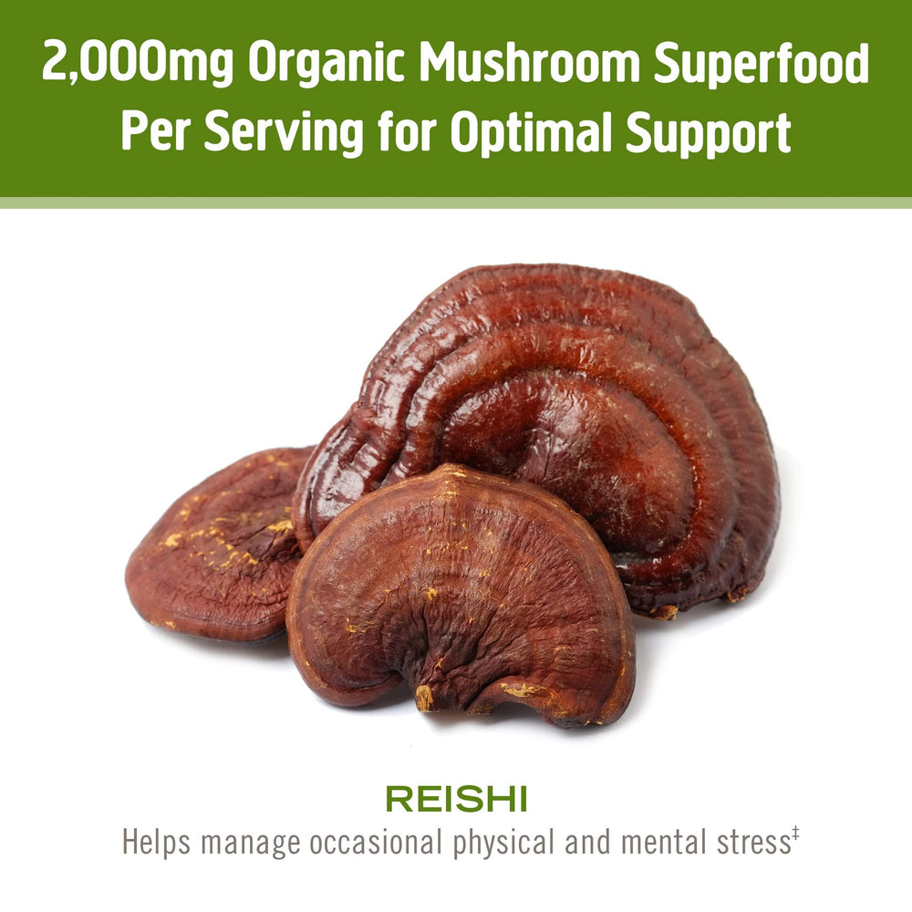 OM Mushroom Reishi powder on coffee demonstrates convenient daily ritual
