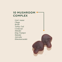 10-mushroom complex ingredients behind the OM Mushroom Superfood Master Blend label for wellness.