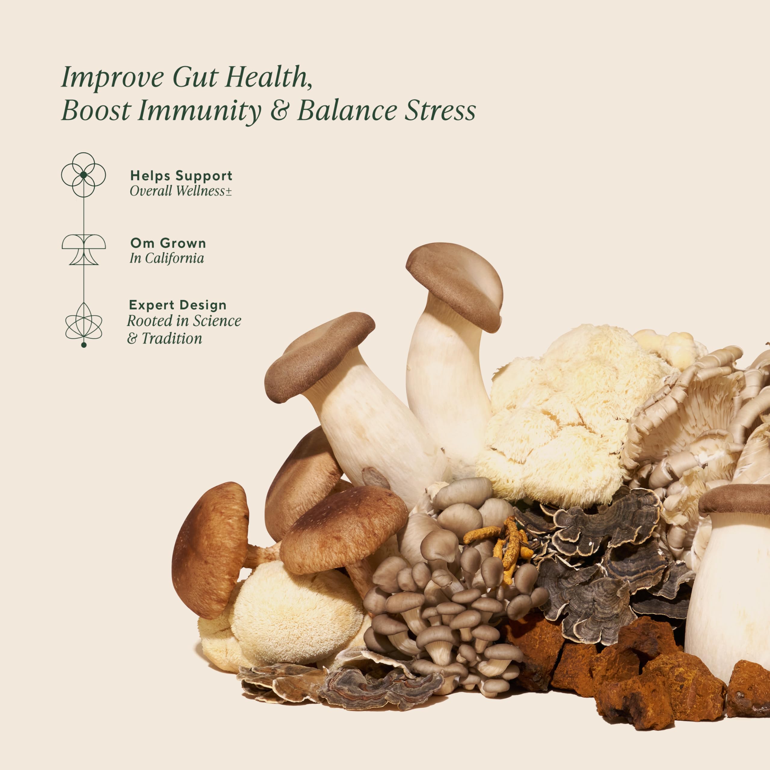 Ashwagandha-infused gummies from OM Mushroom Superfood Master Blend for potential stress support.