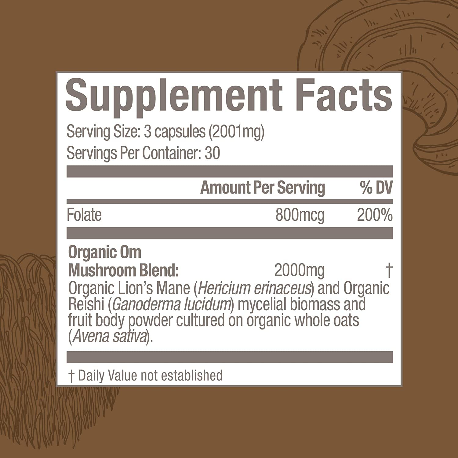 Reishi mushrooms with Brain Fuel label indicating calm focus.