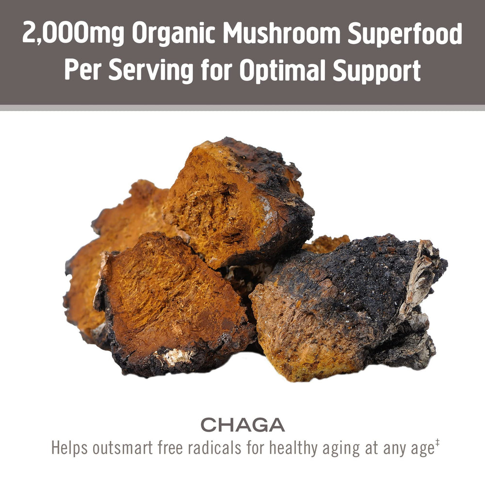 OM MUSHROOM SUPERFOOD Chaga powder in coffee for a natural boost