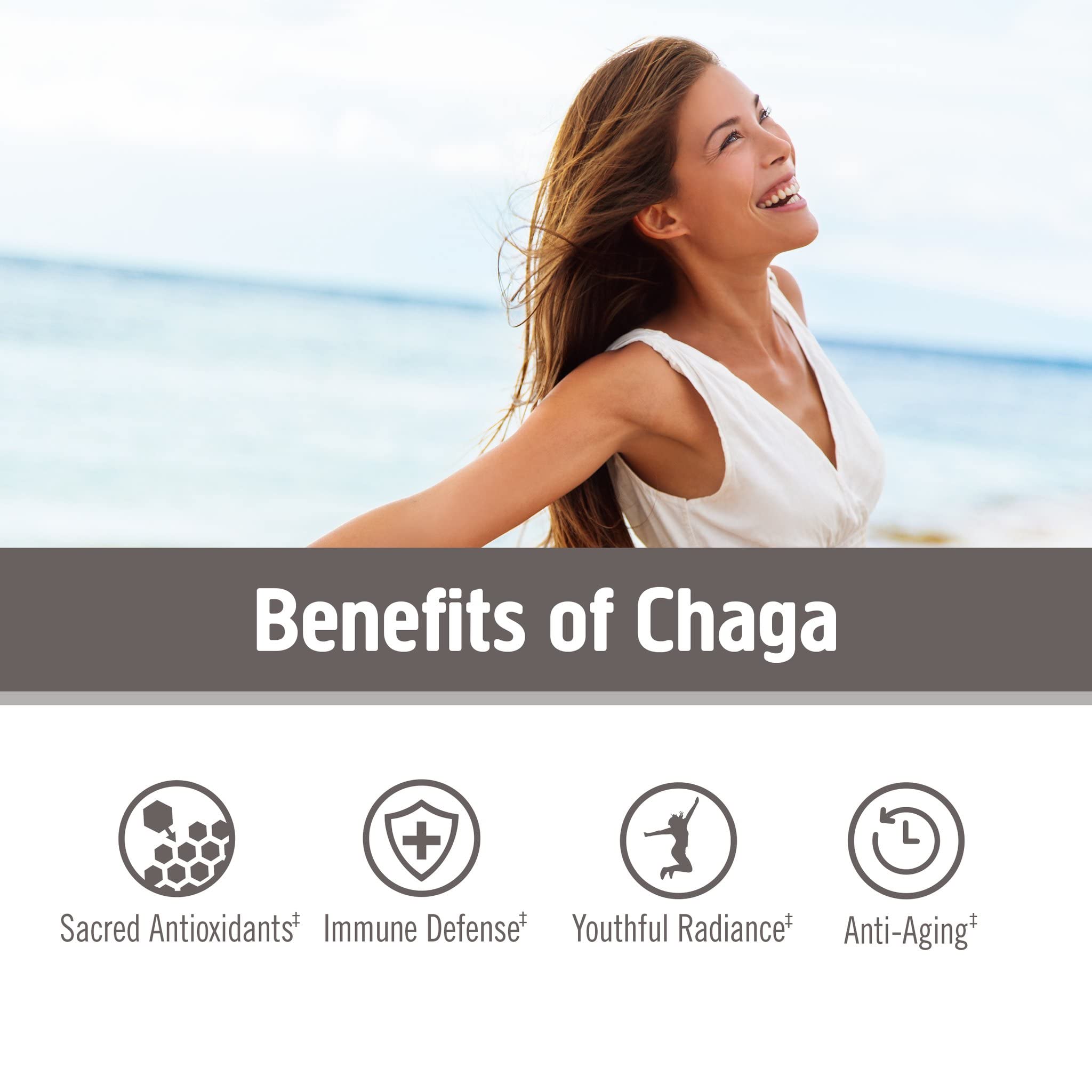 OM MUSHROOM SUPERFOOD Chaga powder in smoothie for antioxidant support