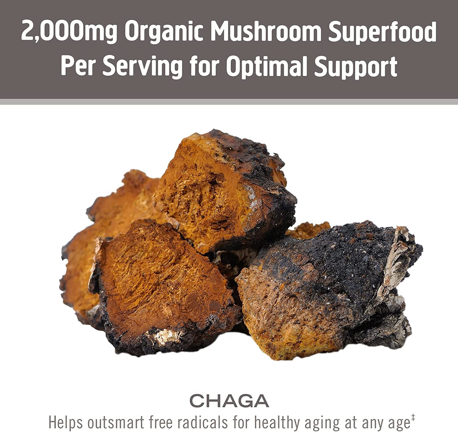 OM Mushroom Superfood Chaga powder USA grown labeling