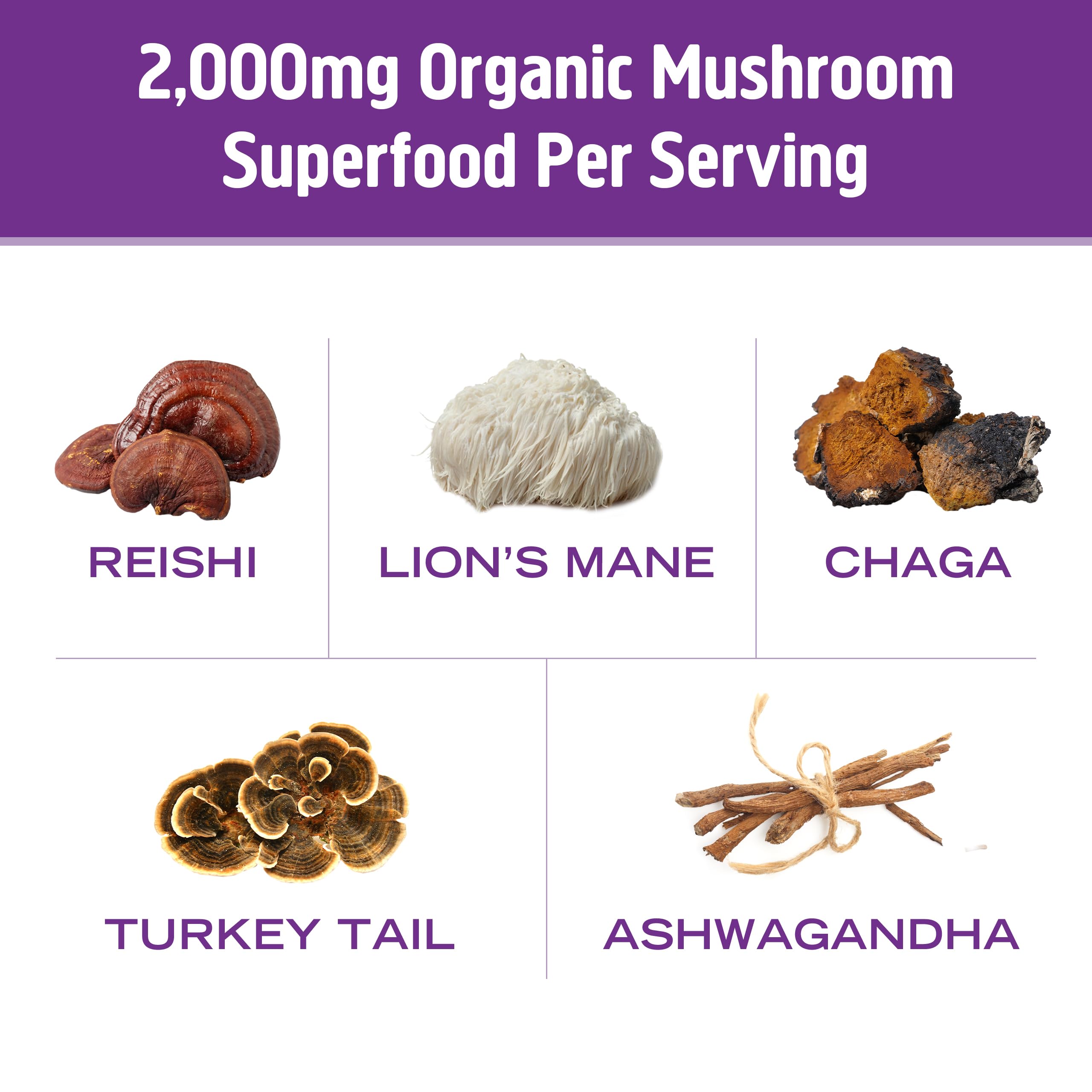 Cup of OM Mushroom Superfood with rich Dutch cocoa aroma.