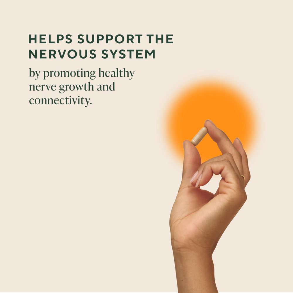 OM Mushroom Superfood Lions Mane capsules closeup, 60-serving supply for cognitive support