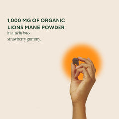 OM Mushroom Superfood Lions Mane Gummies bottle front, convenient daily brain support.