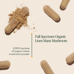 OM Mushroom Superfood Lions Mane label closeup, organic sourcing and quality