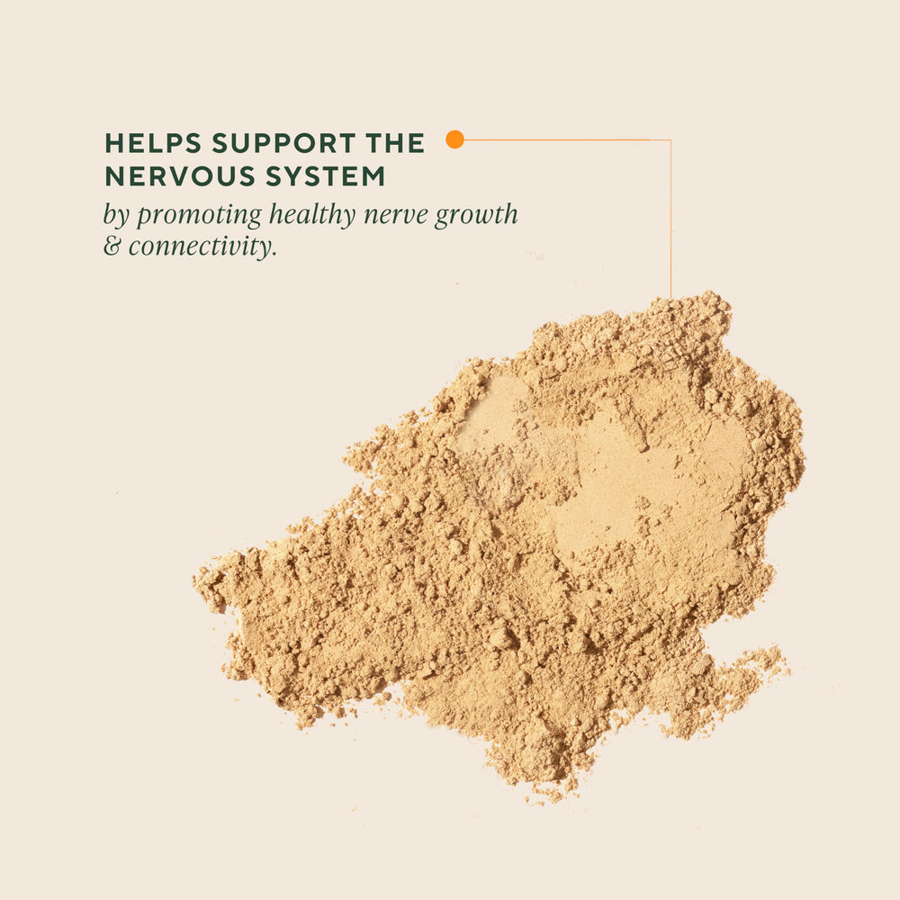 Om Mushroom Superfood Lion’s Mane Powder scoop ready for quick daily dosing and rituals.