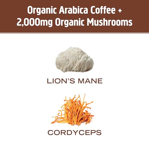 OM Mushroom Superfood Lion's Mane powder supports mental clarity during work.