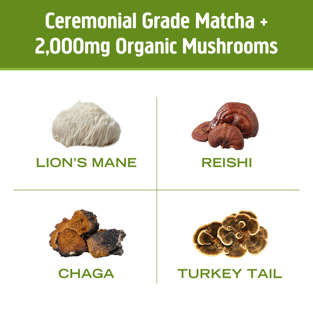 OM Mushroom Superfood Matcha Latte Blend travel pack in bag ready to mix