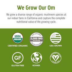 OM Mushroom Superfood Matcha Latte Blend pour into cup highlights creamy texture and earthy flavor
