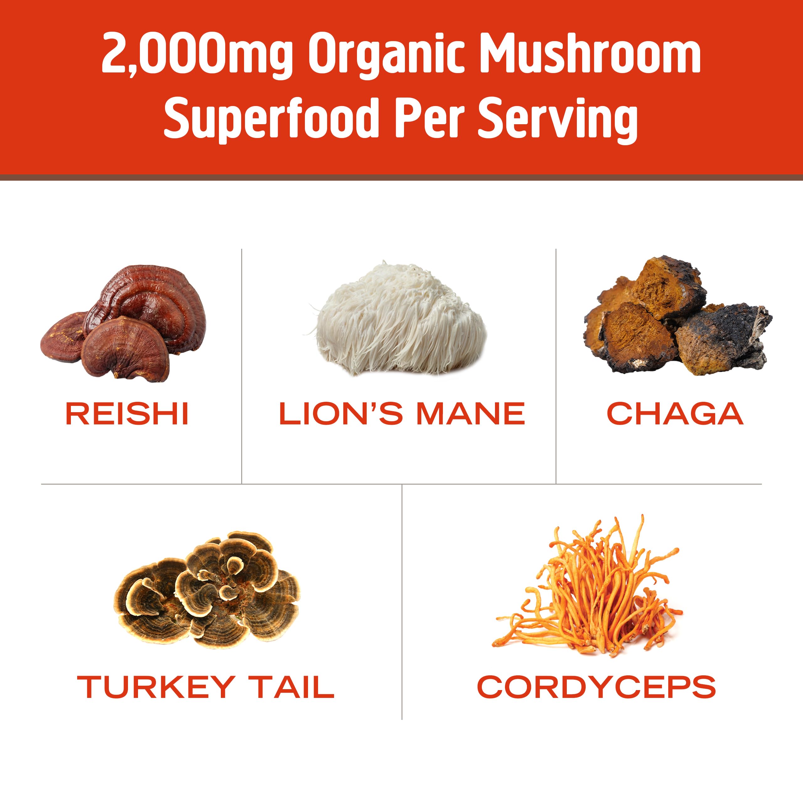 Pour-over view of OM Mushroom Superfood Morning Energy Blend dissolving into hot water