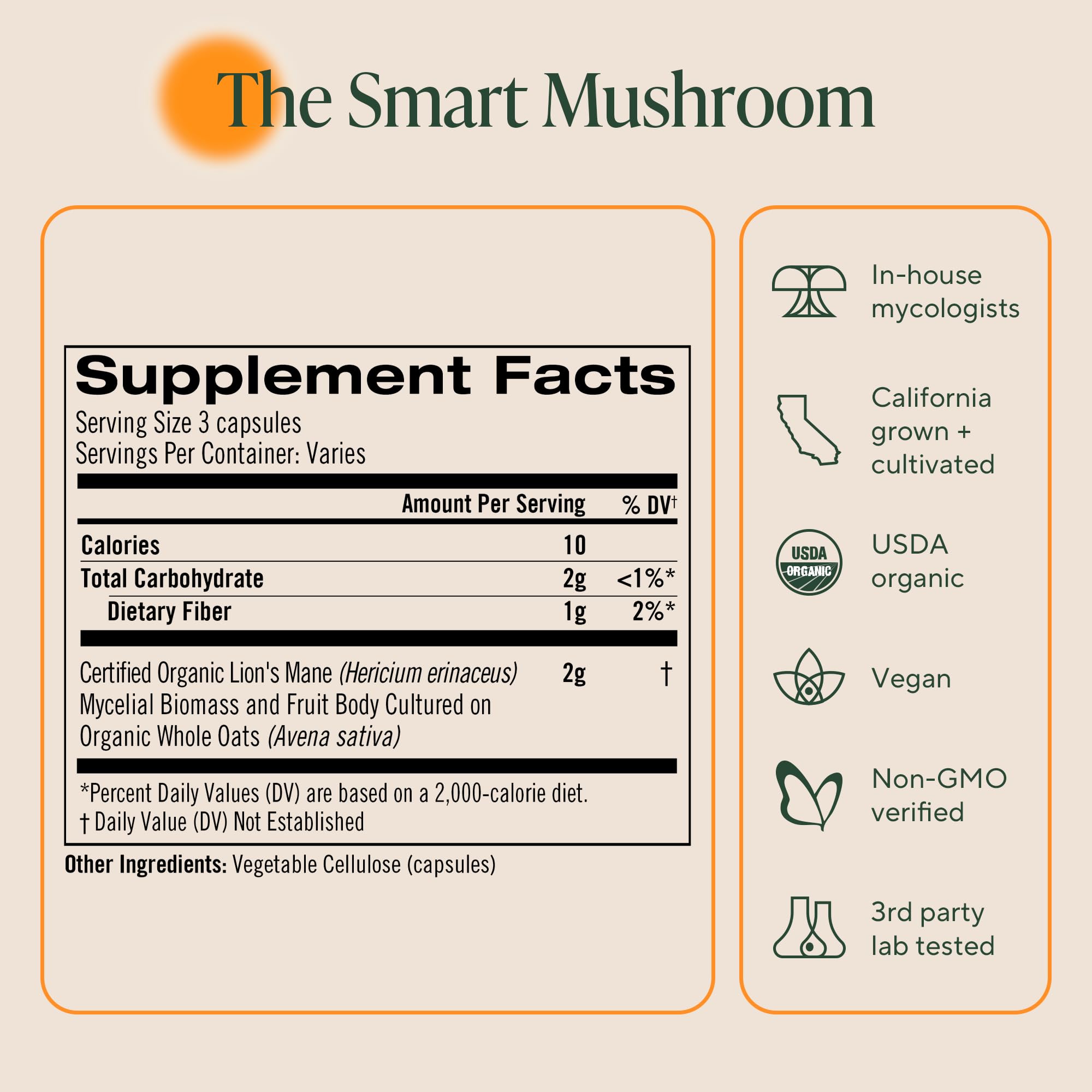 OM Mushroom Superfood Om Lion’s Mane capsules outdoor lifestyle image suggests natural vitality.
