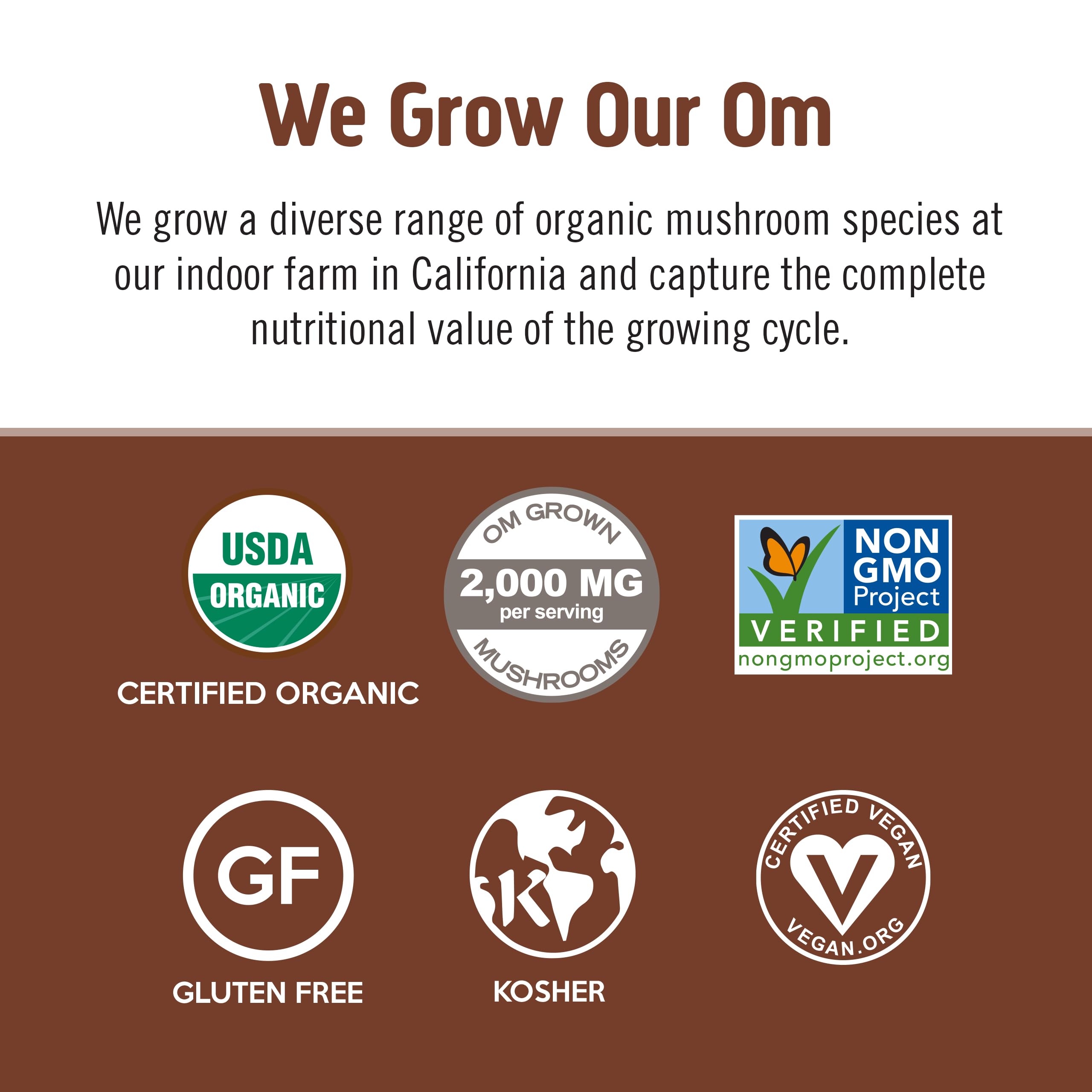 OM Mushroom Superfood organic Arabica coffee beans offer rich, bold flavor