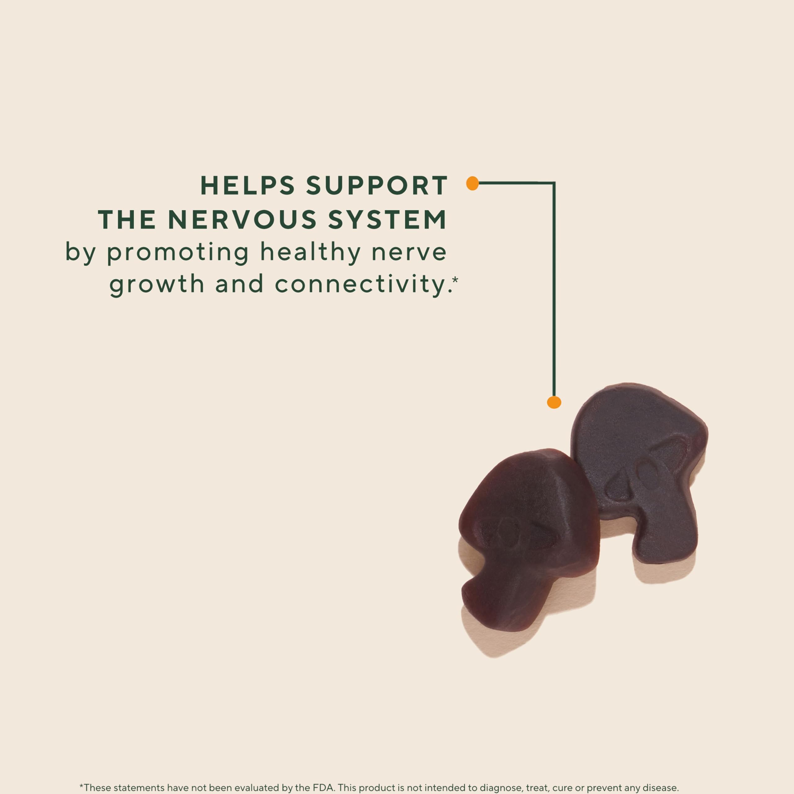 OM Mushroom Superfood organic lions mane biomass, full-spectrum benefits.