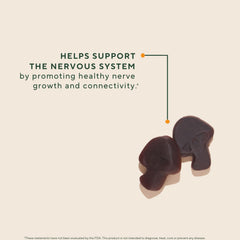 OM Mushroom Superfood organic lions mane biomass, full-spectrum benefits.