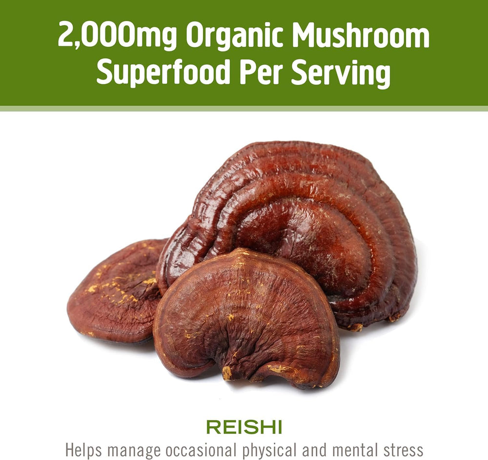 OM MUSHROOM SUPERFOOD Reishi daily-use scoop for fast wellness.