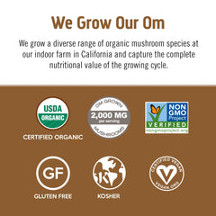 OM Mushroom Superfood rich coffee latte flavor poured into mug.