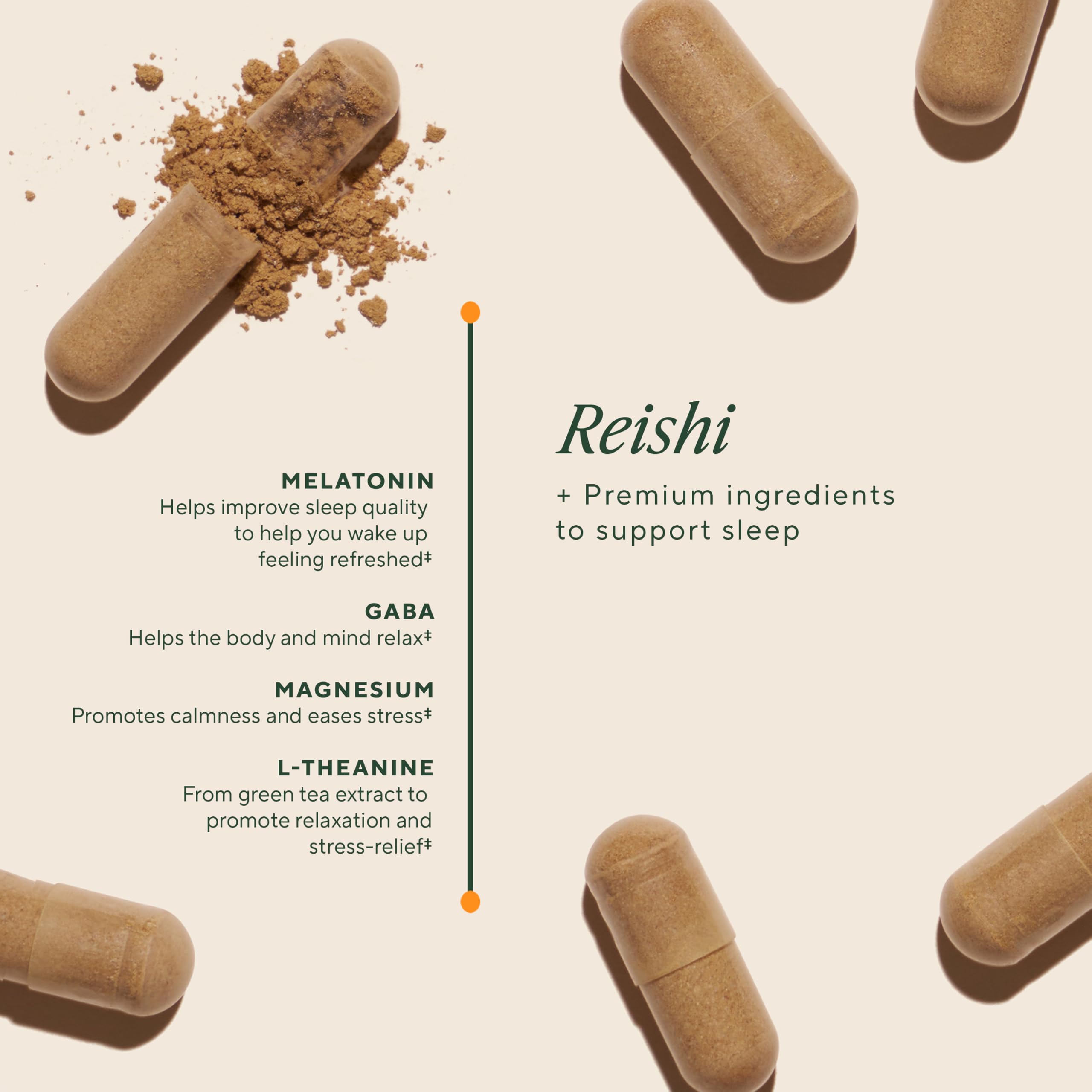 OM MUSHROOM SUPERFOOD Sleep Capsules in hand illustrate convenient bedtime capsule form.