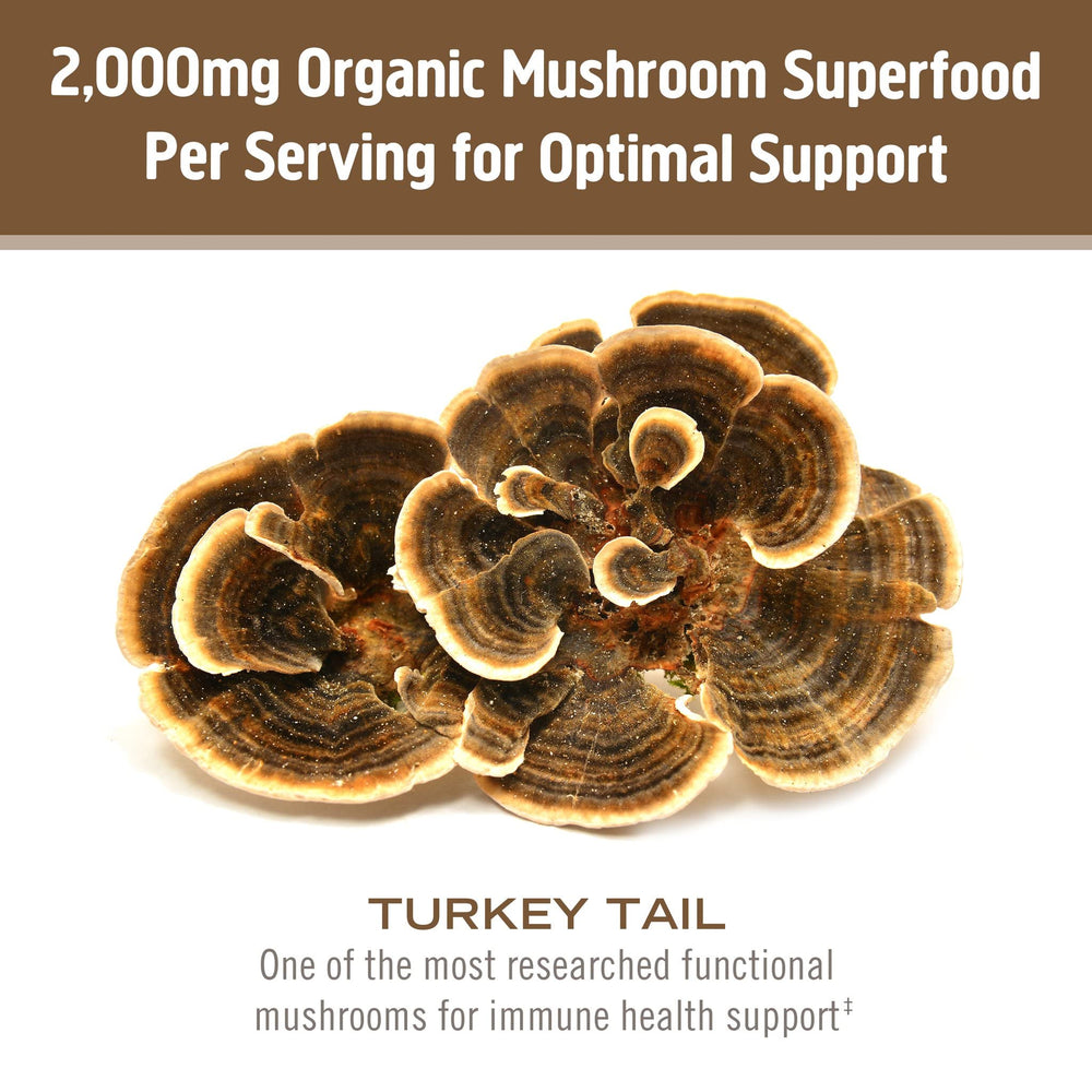 OM Mushroom Superfood Turkey Tail powder close-up of dry texture.