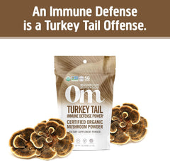 Scoop of OM Mushroom Turkey Tail powder ready for a simple daily serving.