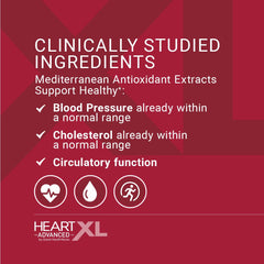 OmegaXL HeartXL Advanced olive fruit extract visual emphasizing hydroxytyrosol benefits